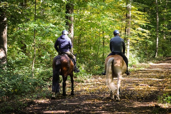 horseback riding on federal land